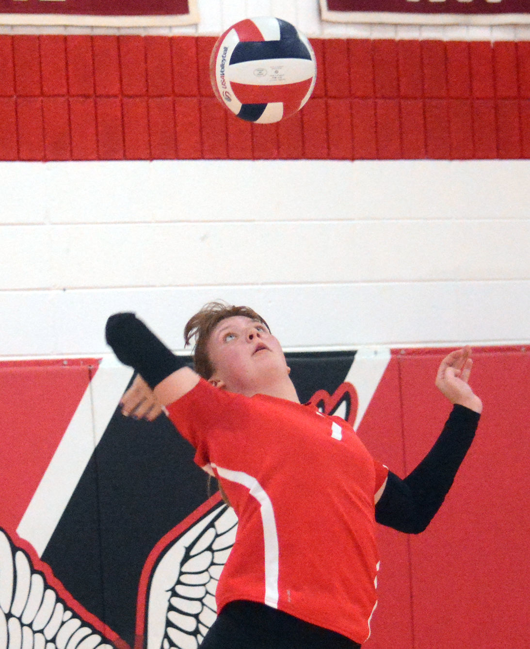 Allison Noll.jpg